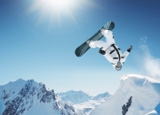 开云体育入口-冰与火的碰撞，辽宁队爆冷灰熊，霍勒迪如何成为改写剧本的关键先生？