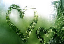 开云官方app入口-文班亚马的完美交响，马刺对阵爵士的青春风暴