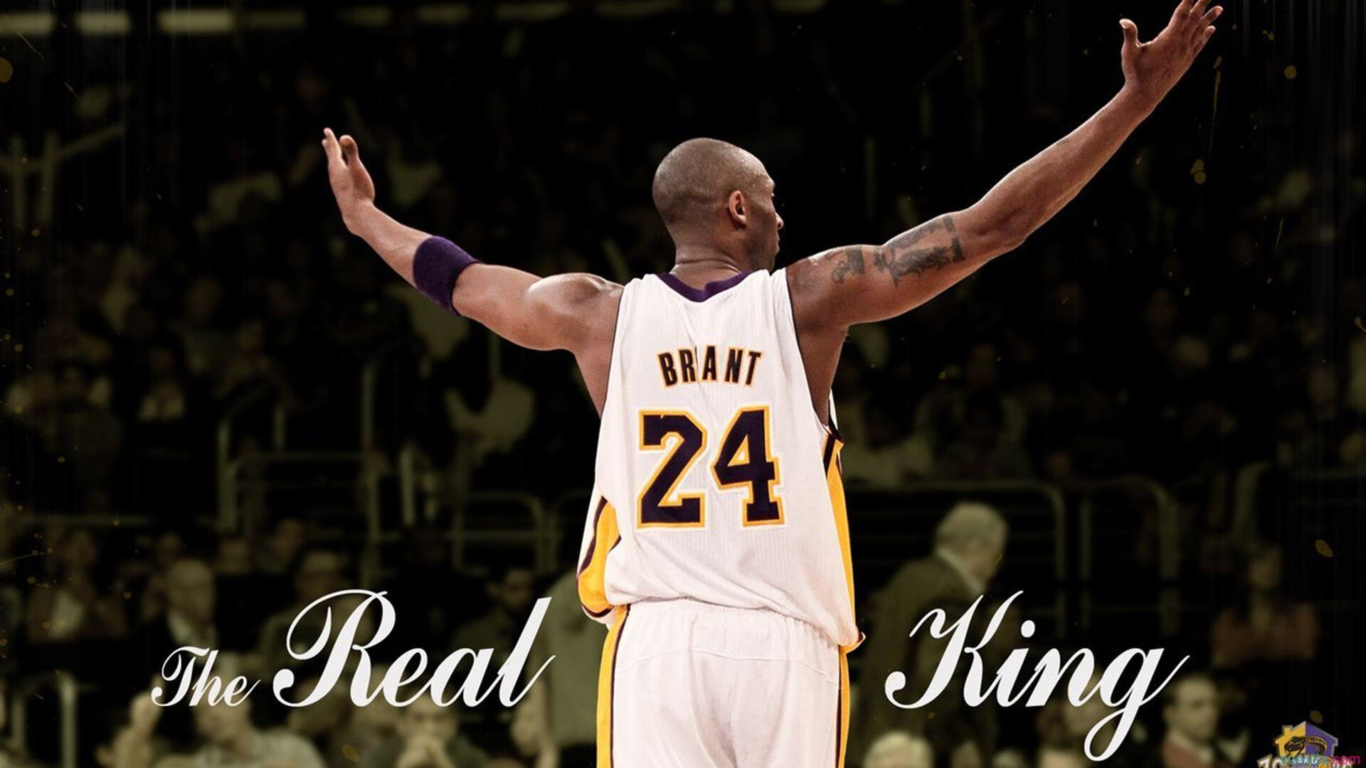 关键先生降临，字母哥神级表现助奇才轻取国王